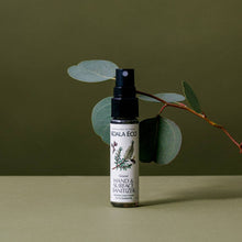 Load image into Gallery viewer, Hand and Surface Spray - 1oz