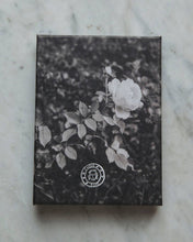 Load image into Gallery viewer, Set of 10 Cards - Paris in 35mm Film
