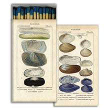 Load image into Gallery viewer, Matches - Seashell Specimens
