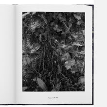 Load image into Gallery viewer, The Garden at Orgeval
