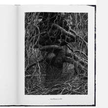 Load image into Gallery viewer, The Garden at Orgeval
