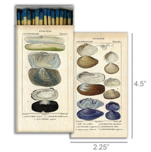 Load image into Gallery viewer, Matches - Seashell Specimens
